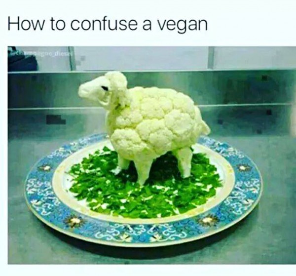 how-to-confuse-a-vegan