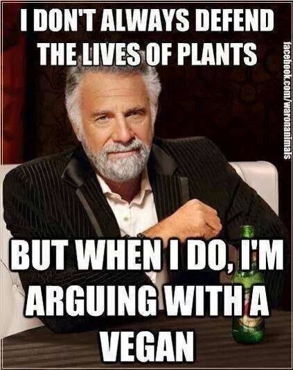 lifeofplants