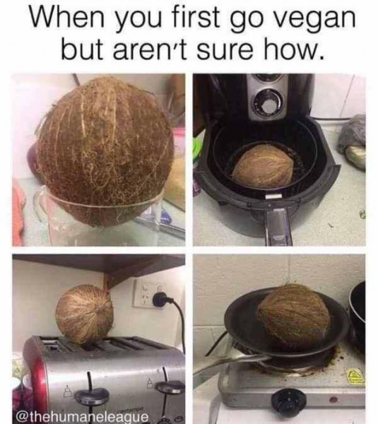 27858000_1991603450850083_1456