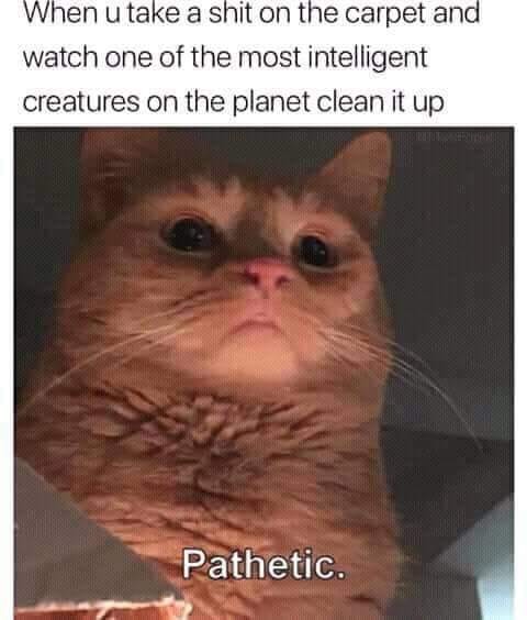 27072981_1762342923835773_5887